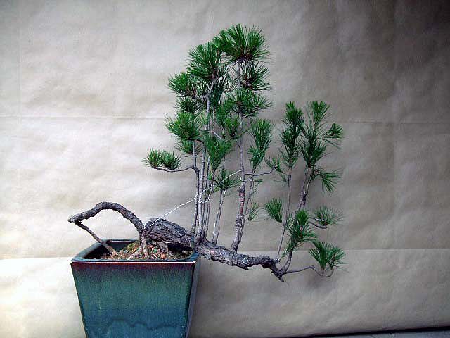 DSCF0370.JPG