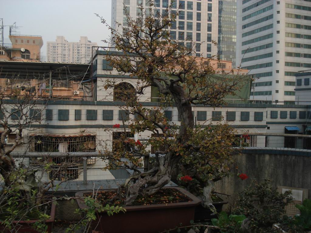 DSC01588.JPG
