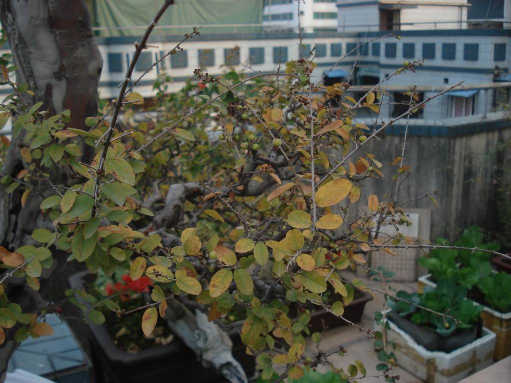 DSC01589.JPG