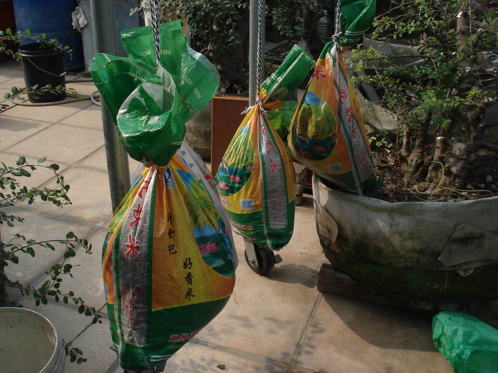 DSC01592.JPG