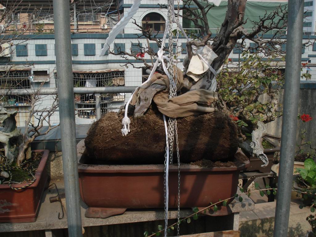 DSC01594.JPG