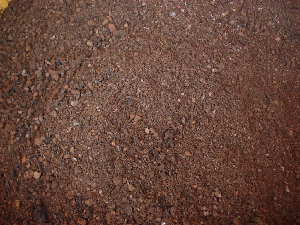 DSC01599-1.jpg
