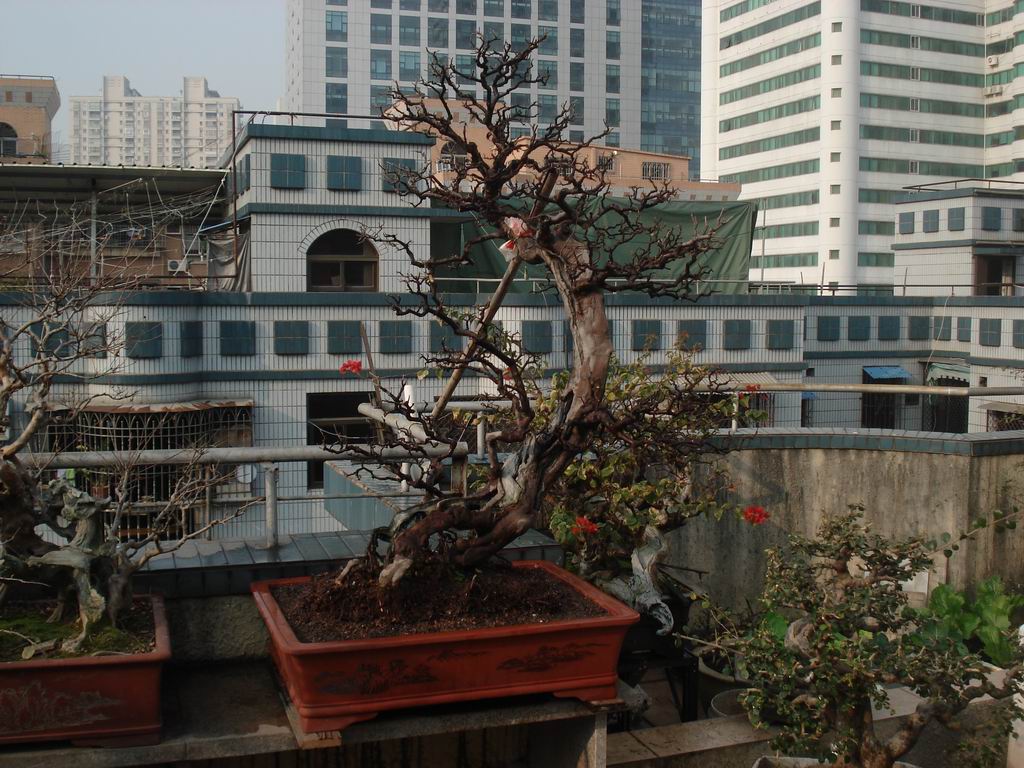 DSC01600.JPG