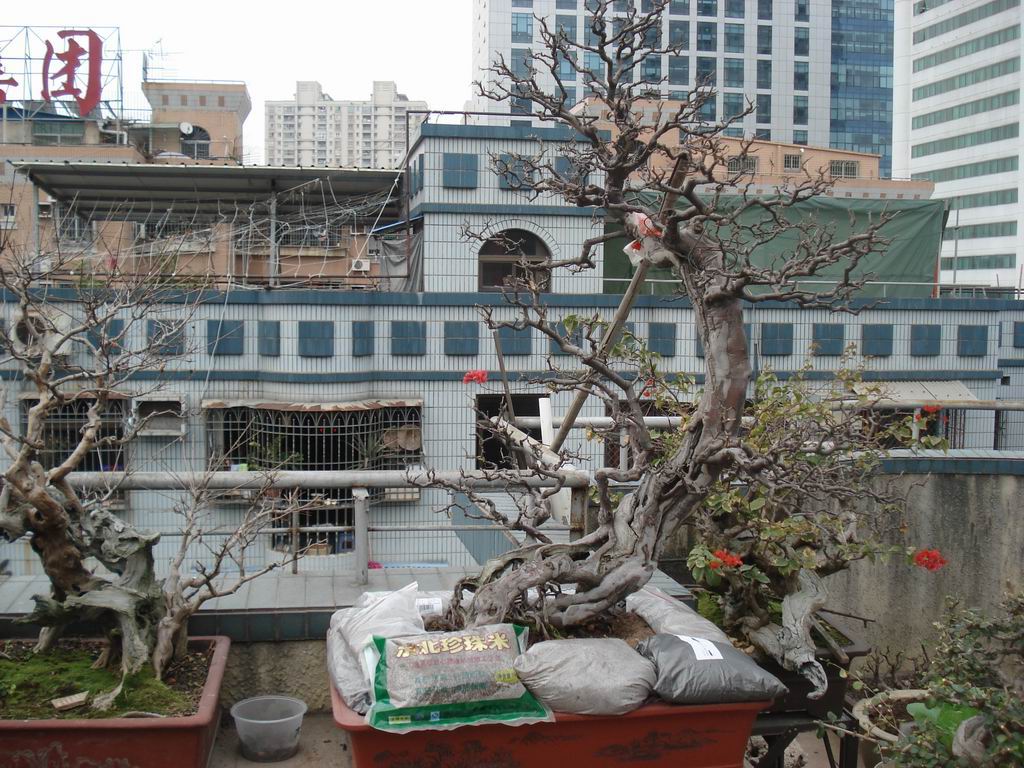DSC01602.JPG