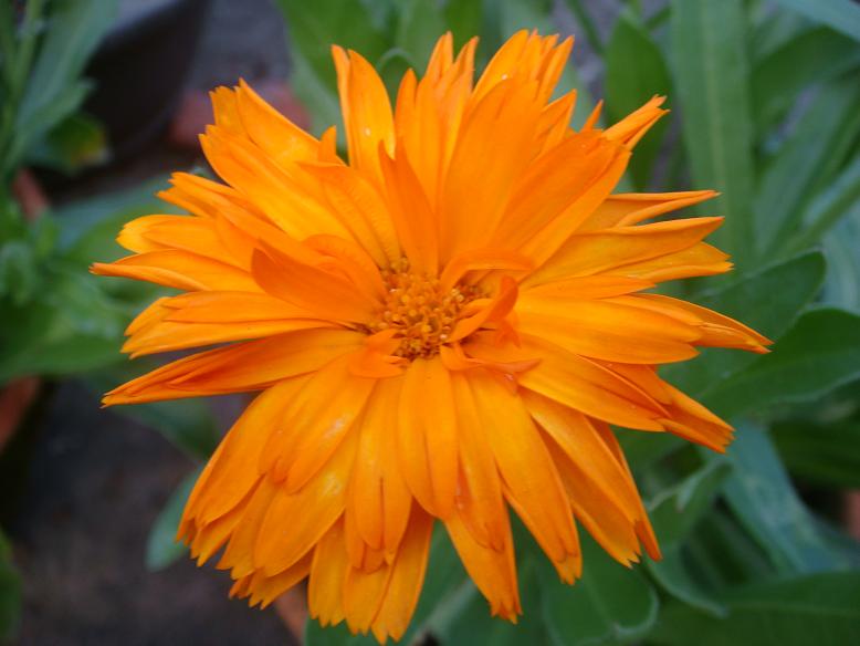 DSC05901.JPG