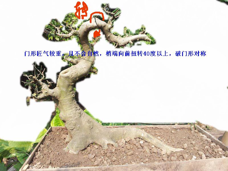 110757bsrh9o9rsippd9sp_jpg_thumb.jpg