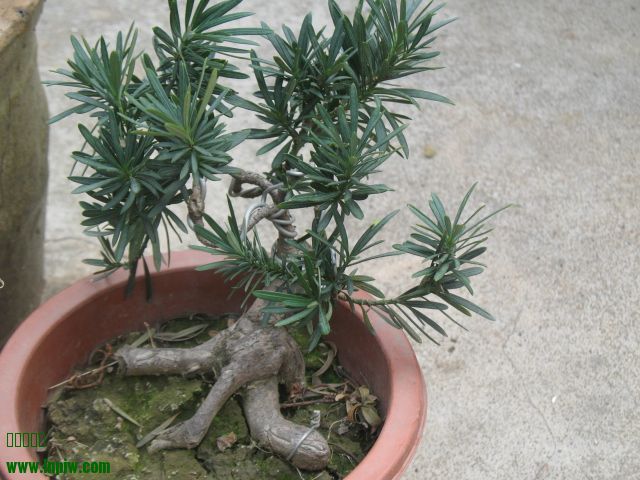 ȸ1.JPG