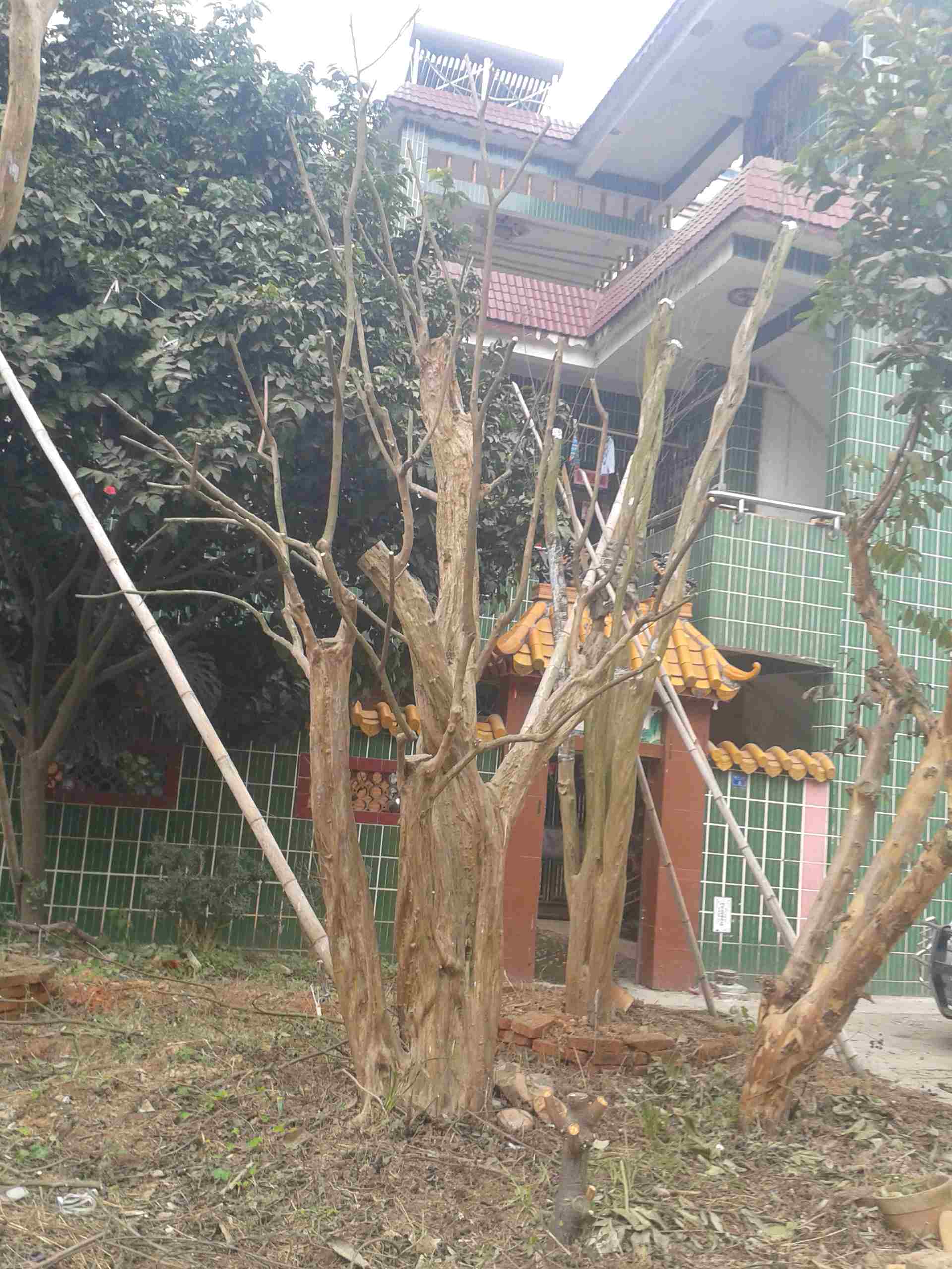 2013-01-20 12.32.20.jpg