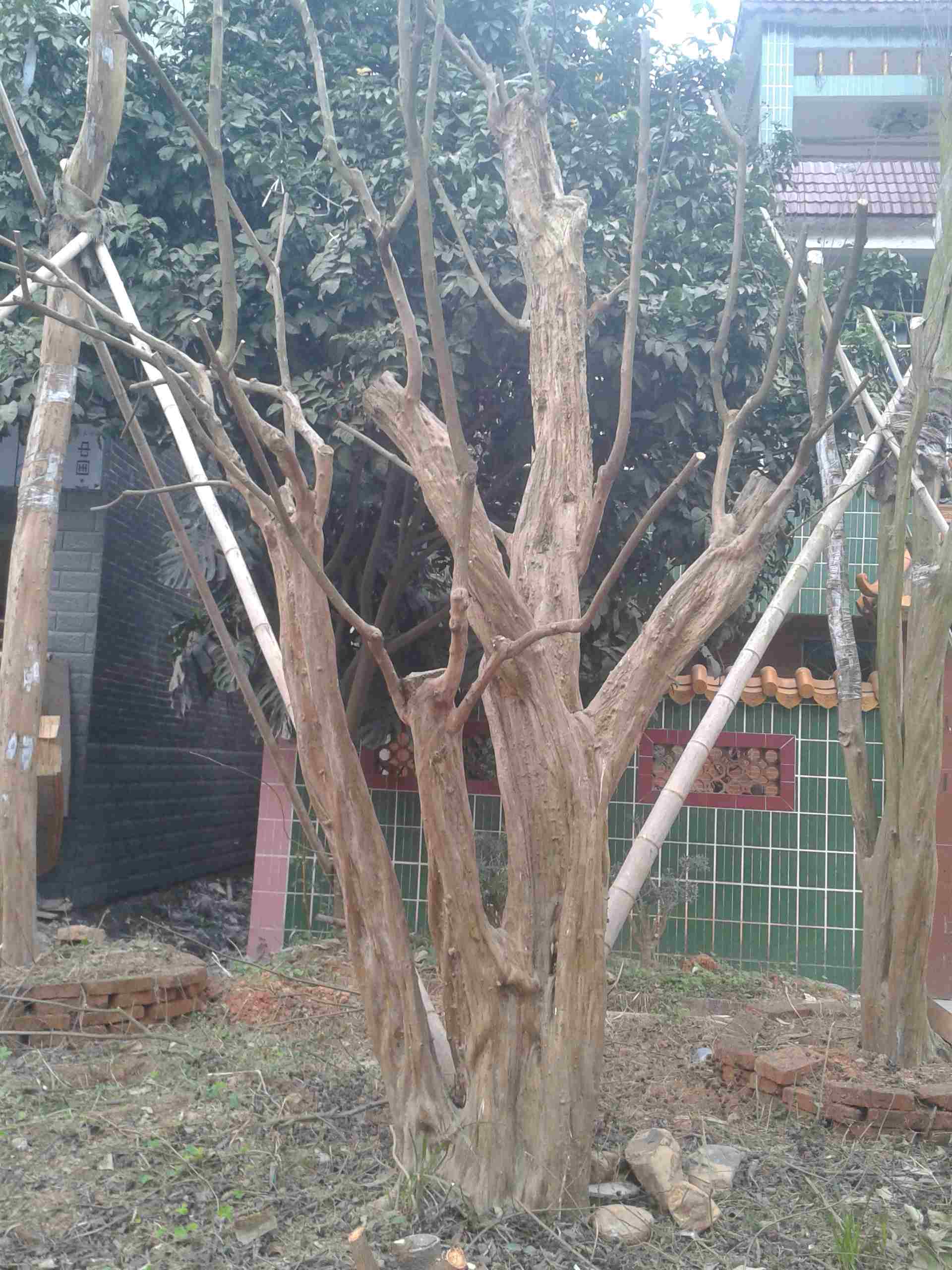 2013-01-20 12.33.35.jpg