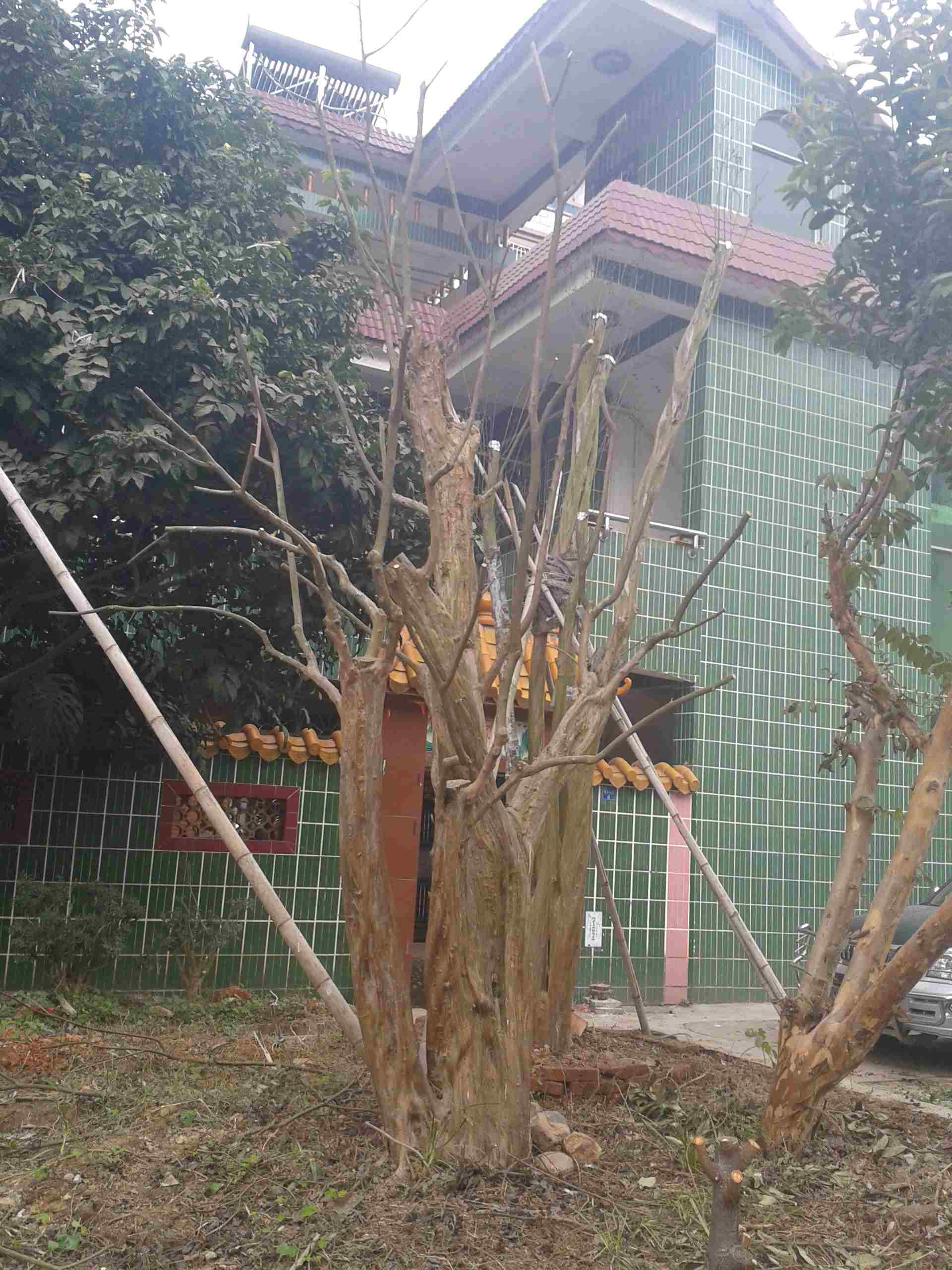2013-01-20 12.33.11.jpg