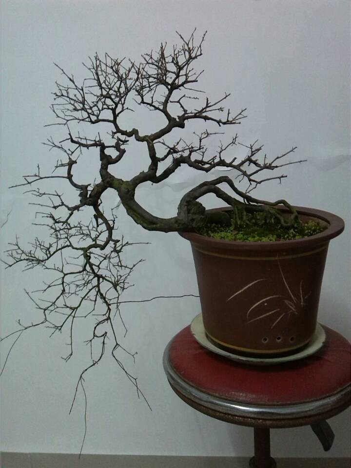 QQͼƬ20131204013633.jpg