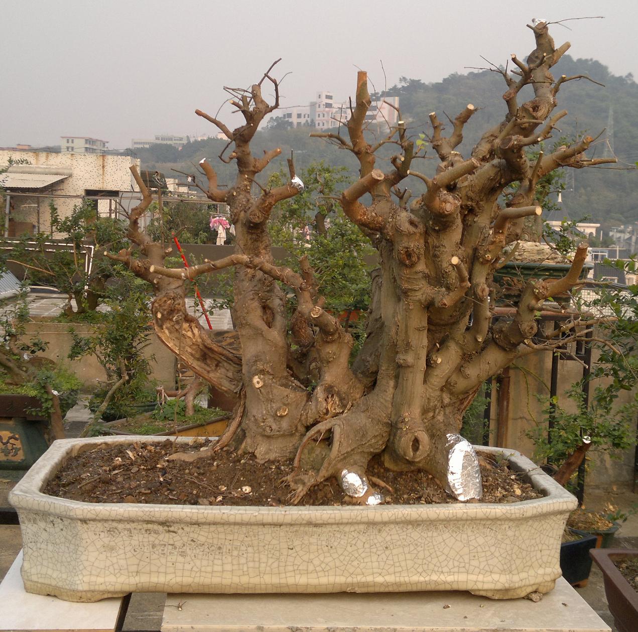 201401041735.jpg
