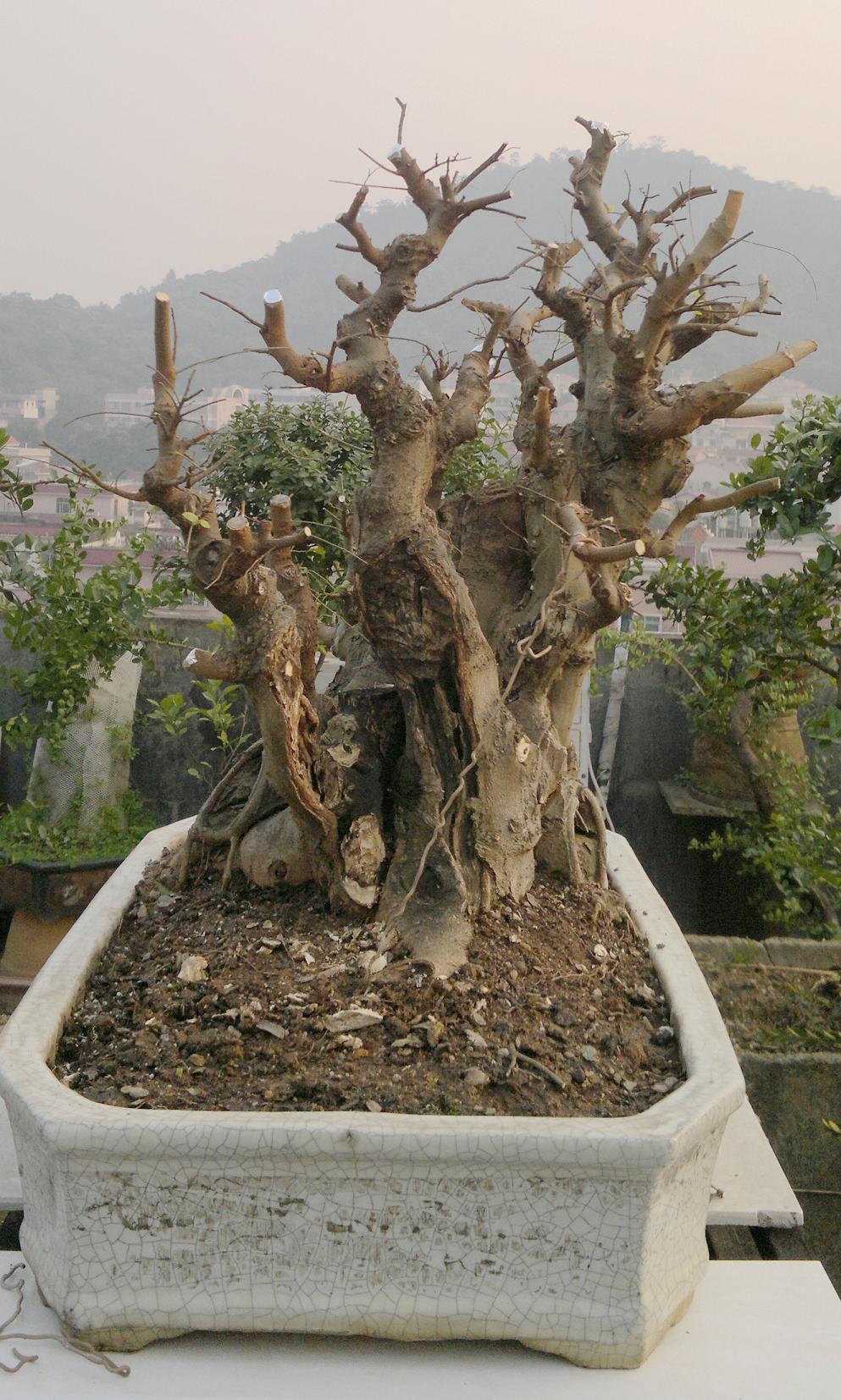 201401041736.jpg