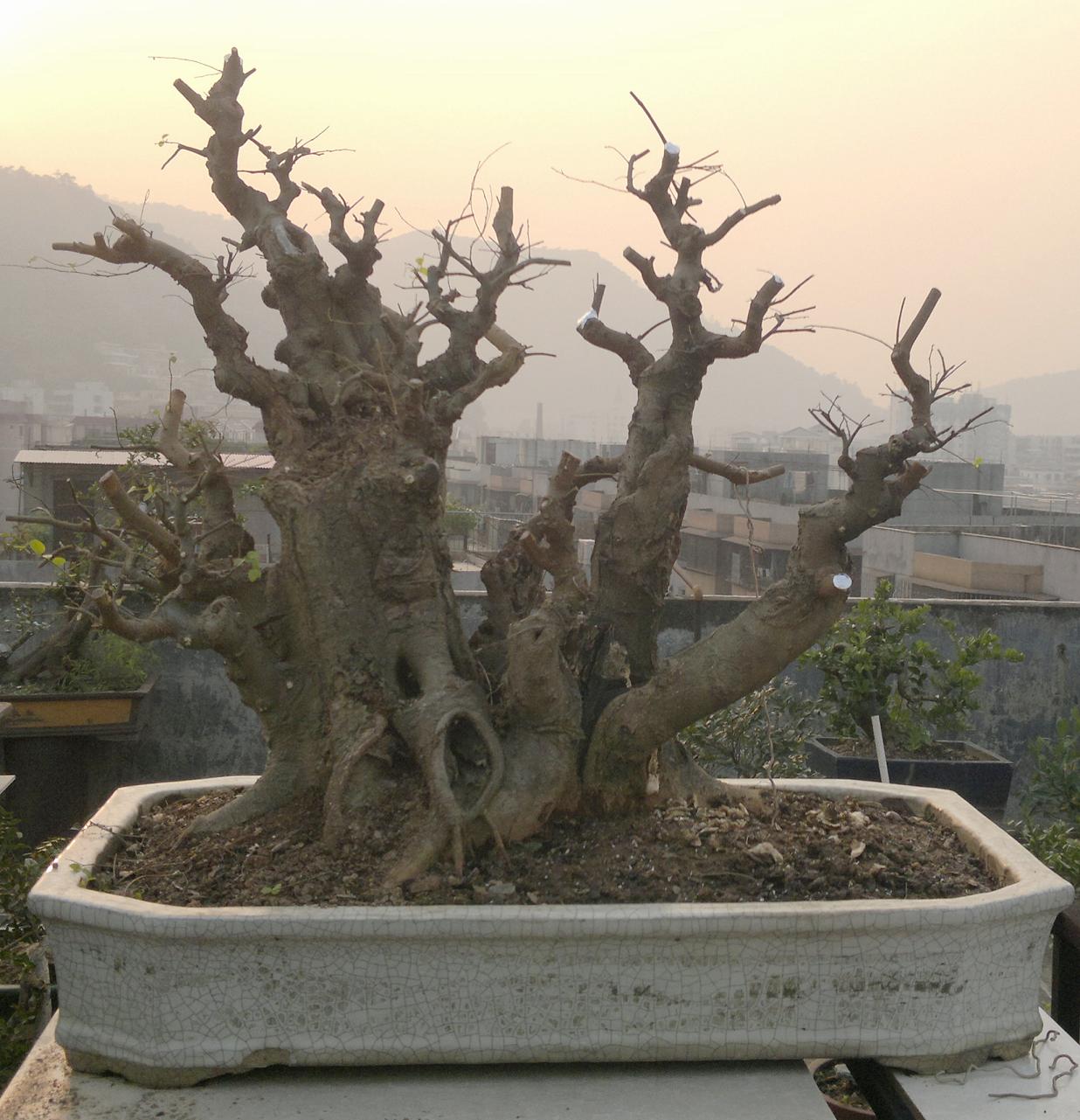 201401041737.jpg