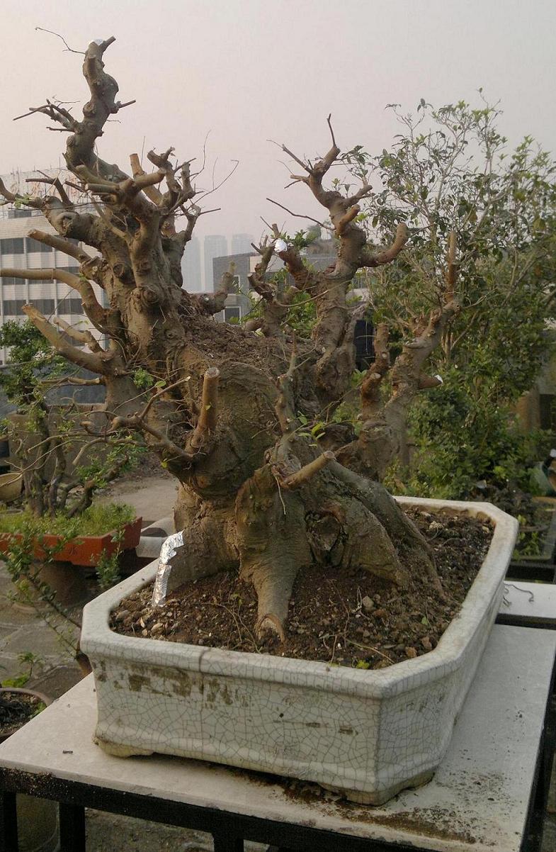 201401041739.jpg