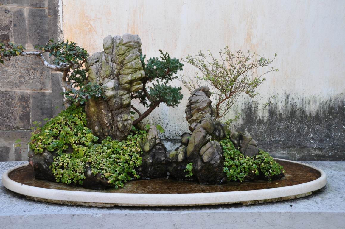 С DSC_0370.JPG
