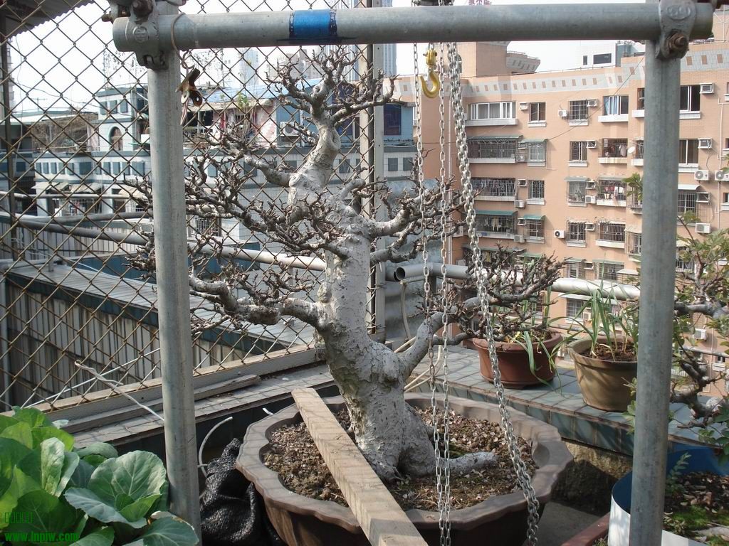 DSC01622.JPG