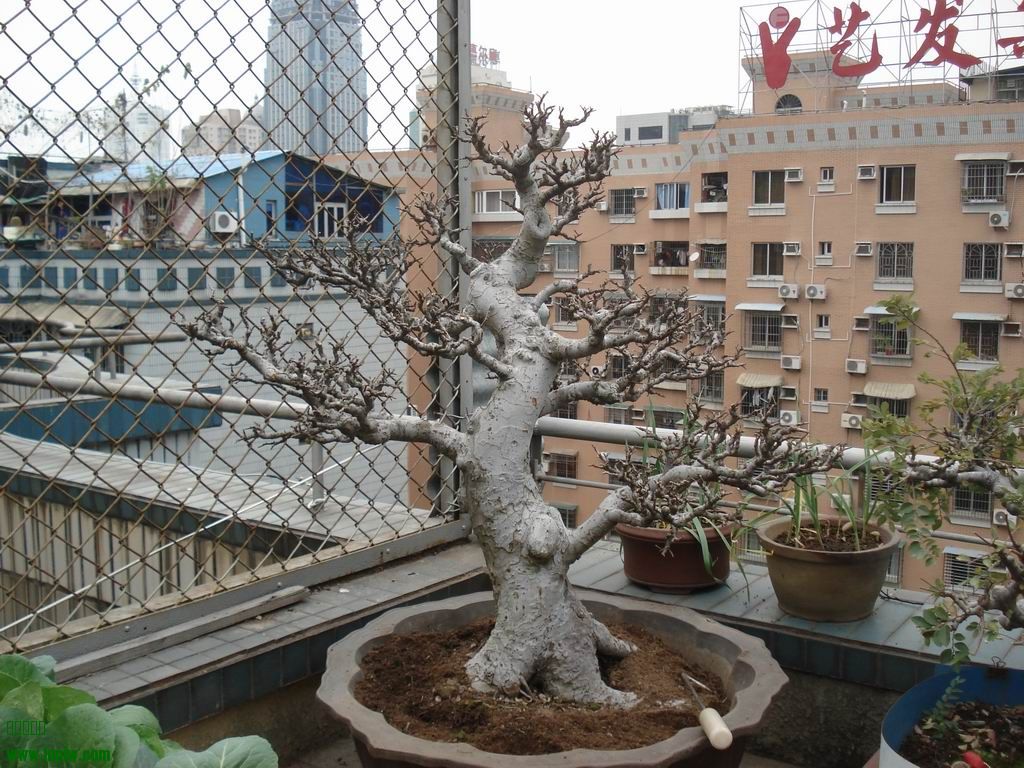 DSC01626.JPG