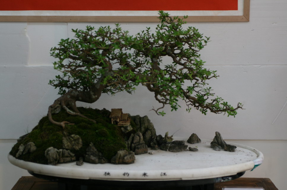 SBQ_20131003_1140.JPG