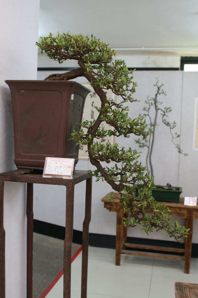 SBQ_20131003_1143.JPG