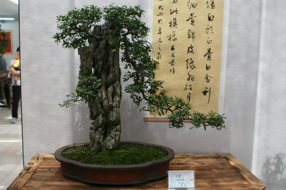 SBQ_20131003_1144.JPG