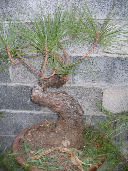 IMG_0364_СС.jpg