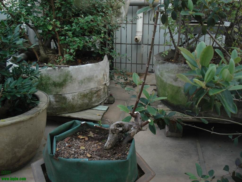 DSC01628.JPG