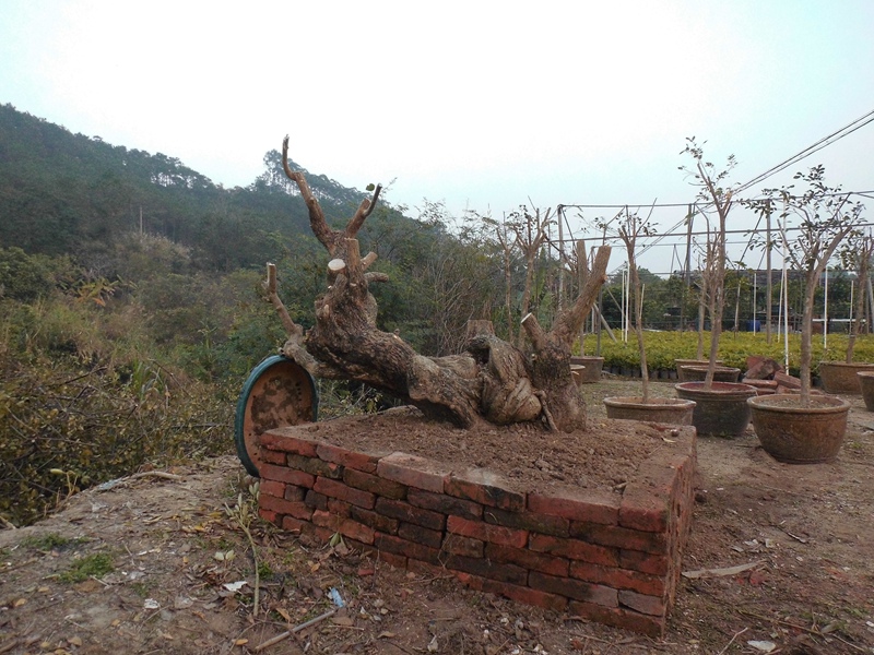 DSCI0006.jpg