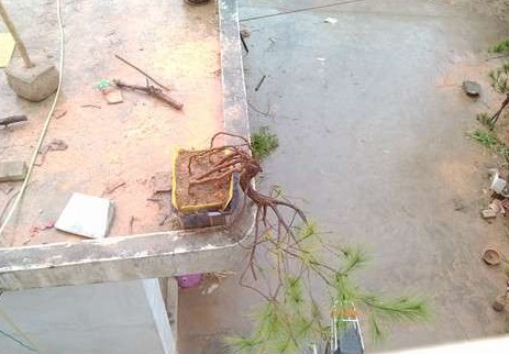 QQͼƬ20140111221645.jpg