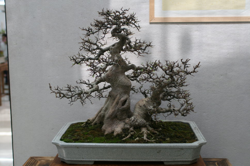 SBQ_20131003_1150.JPG