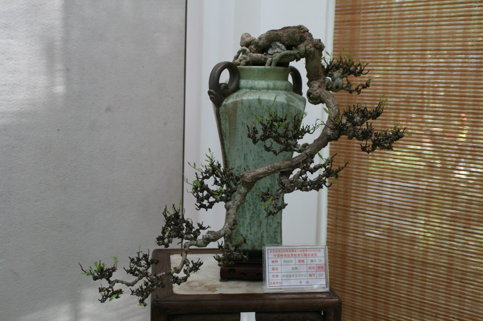 SBQ_20131003_1151.JPG