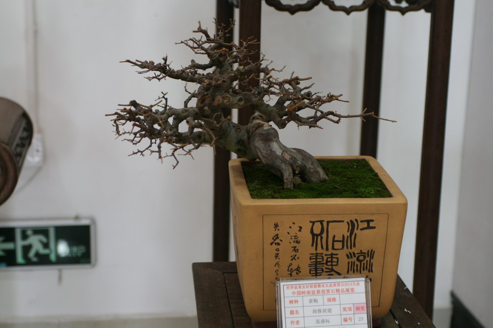 SBQ_20131003_1154.JPG
