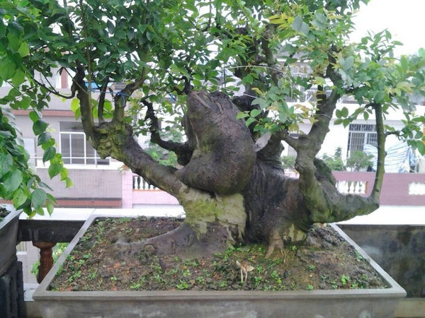 QQͼƬ2013152.jpg