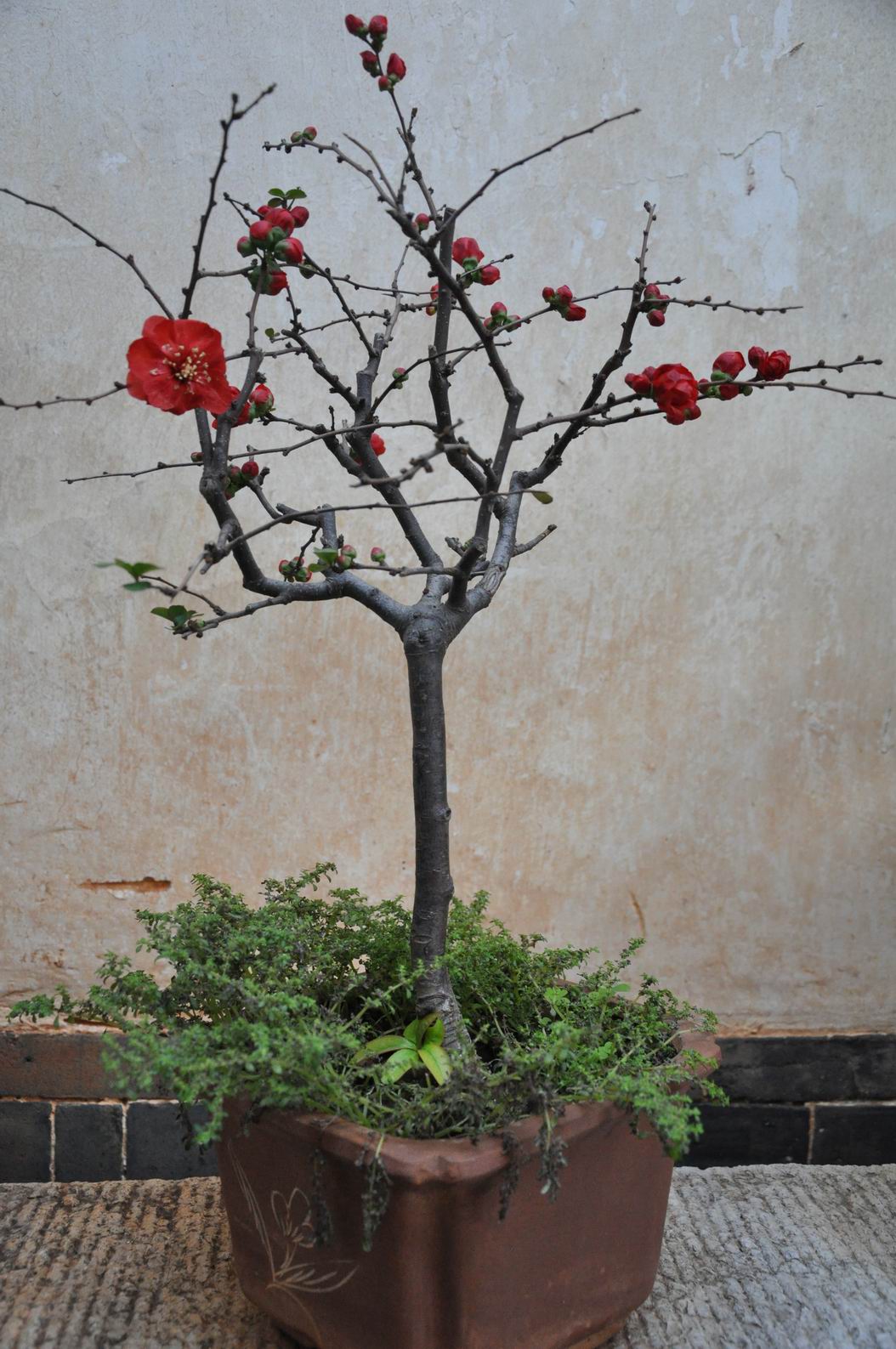 С ת DSC_0333.JPG