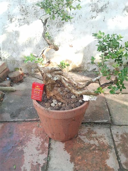 2014-01-13 16.30.11.jpg