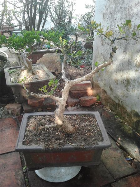 2014-01-13 15.57.16.jpg