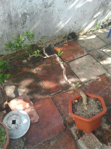 2014-01-13 15.13.33.jpg
