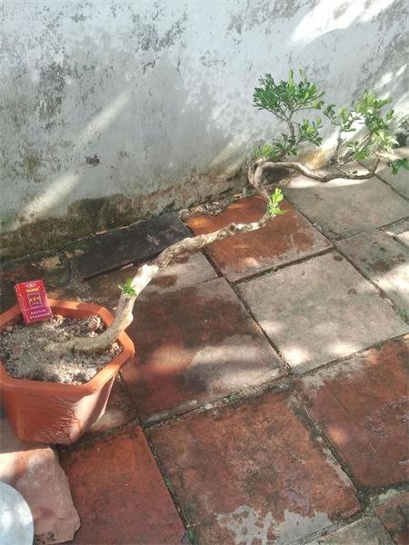 2014-01-13 15.14.33.jpg
