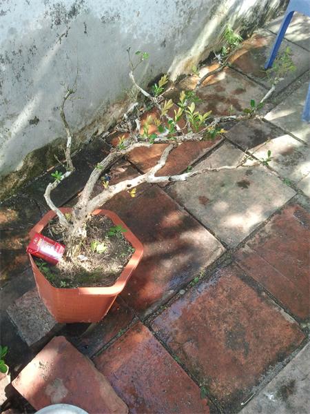 2014-01-13 15.18.11.jpg