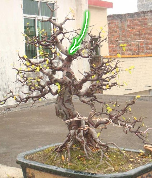 оЩֵֹ