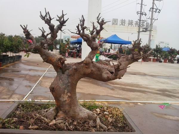 20140111_101012.jpg