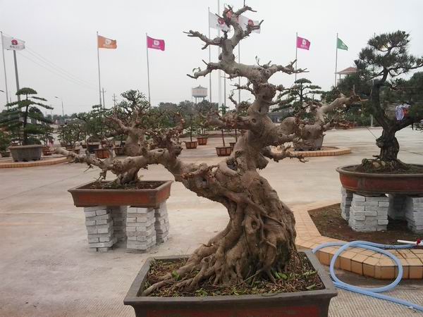 20140111_101046.jpg