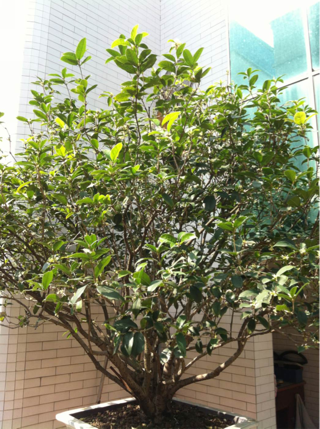 nEO_IMG_0L2JW1X(HN[3E25_)3%CR8W.jpg