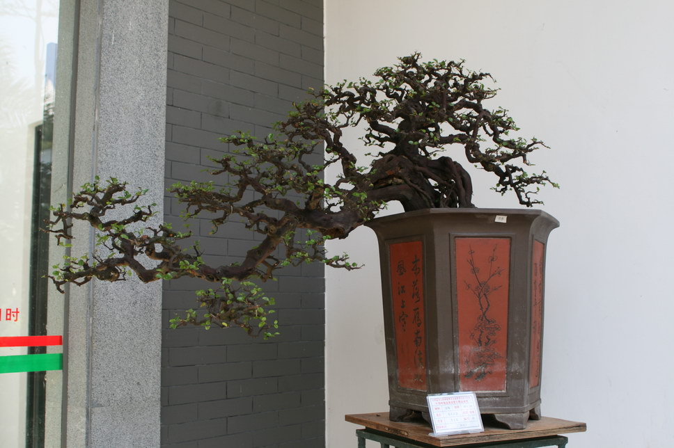 SBQ_20131003_1178.JPG