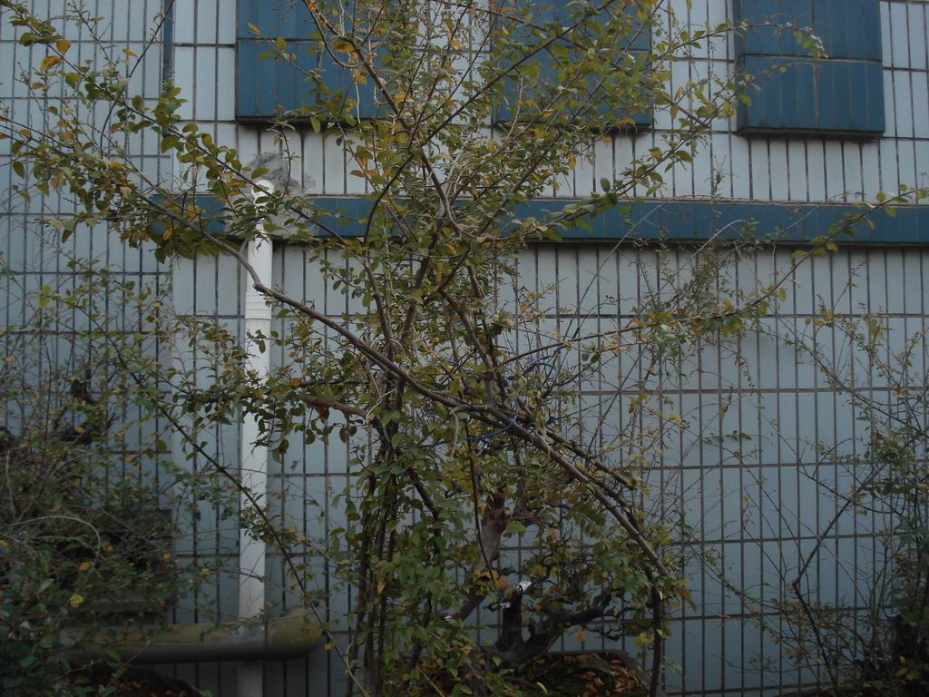 DSC01638.JPG