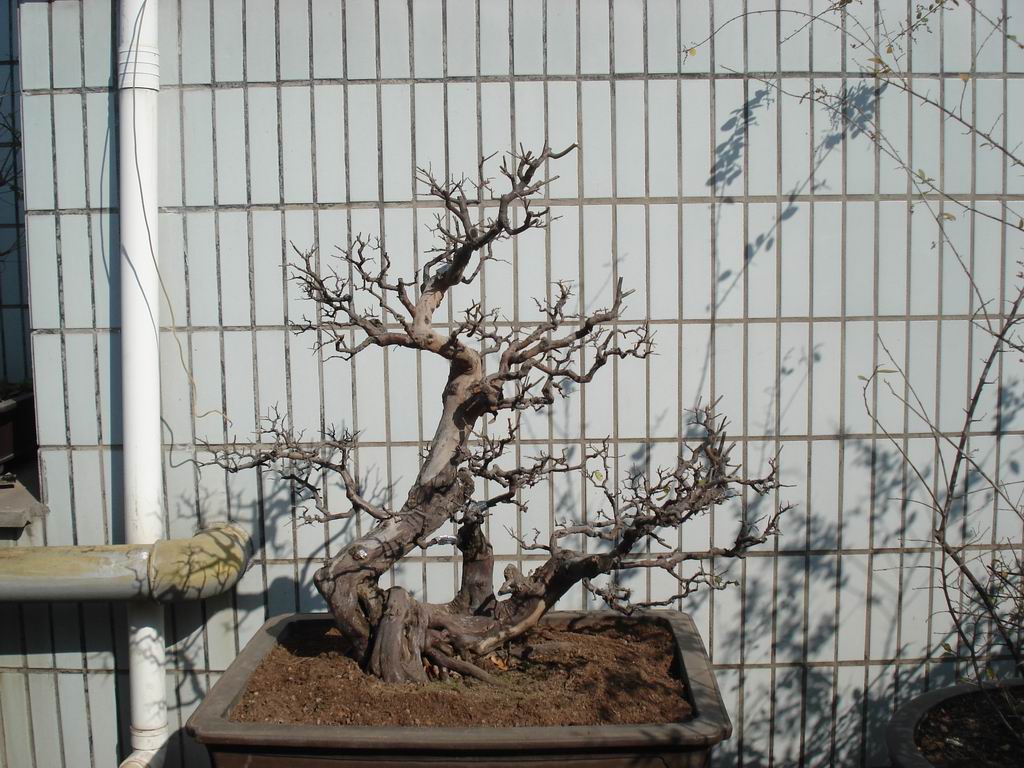 DSC01641.JPG