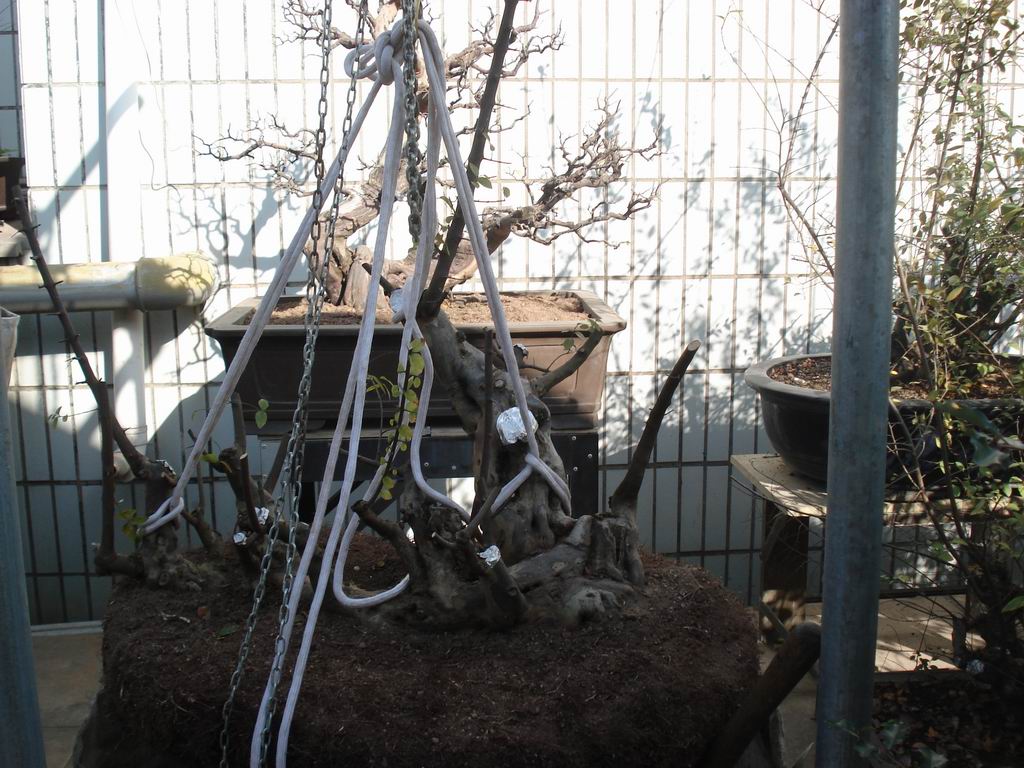 DSC01642.JPG