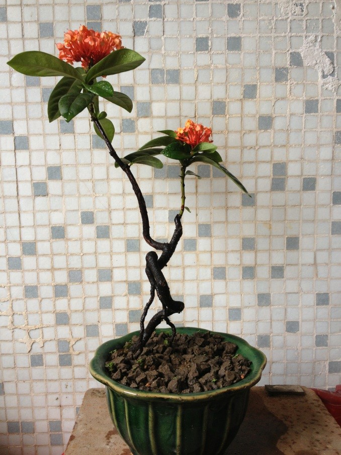 QQͼƬ20140113213903.jpg