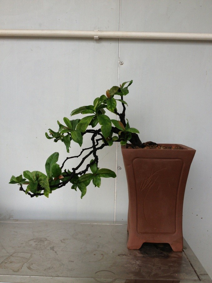 QQͼƬ20140113213841.jpg