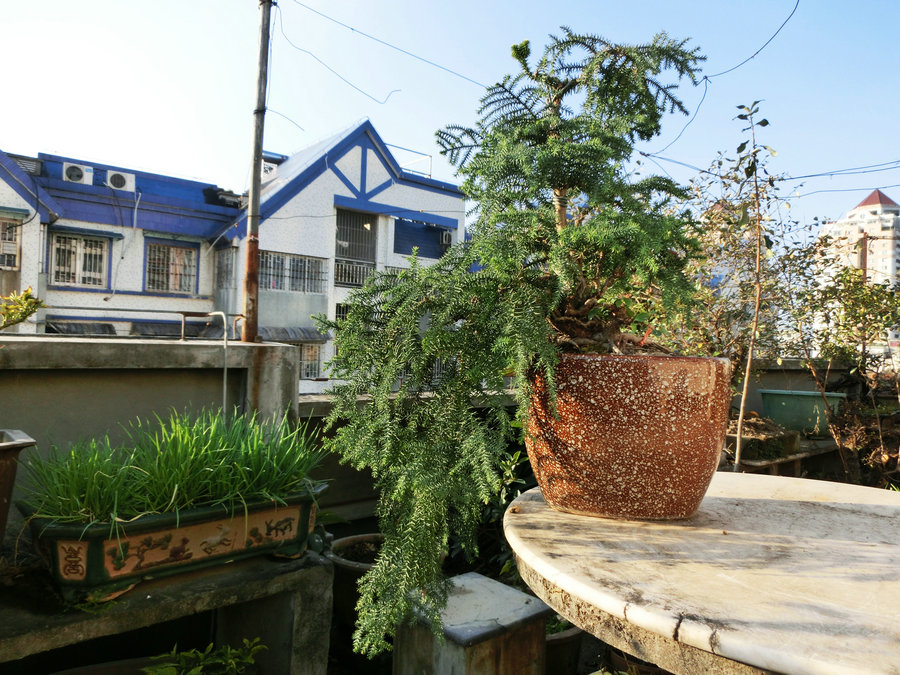 CIMG0370.JPG